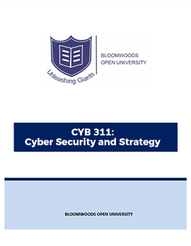 CYB 311